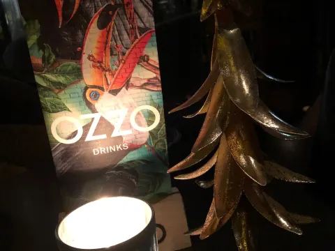 Foto 2 van Ozzo (winebar & lounge)