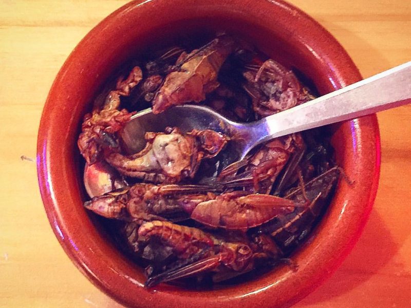 Sabor Sabor
