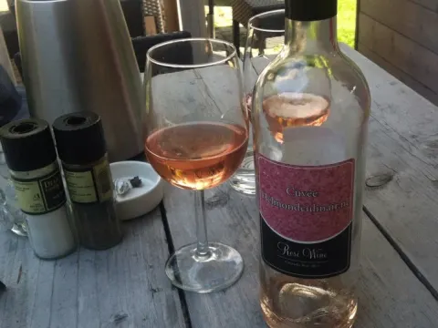 De Schevelingse Loop