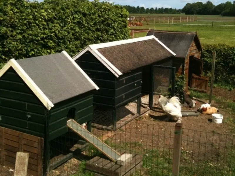 Foto 1 van Schoolbrink