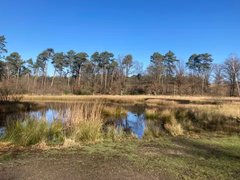 De Meinweg