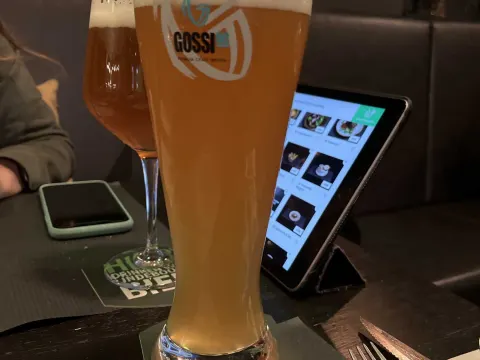 Gossimijne Meijel