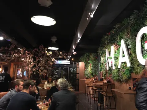 Magoya