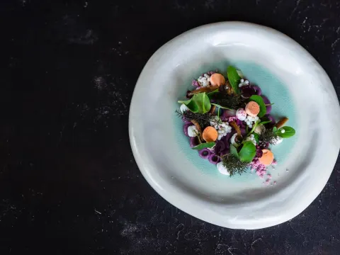 NOVO New Dining | Restaurant Maastricht