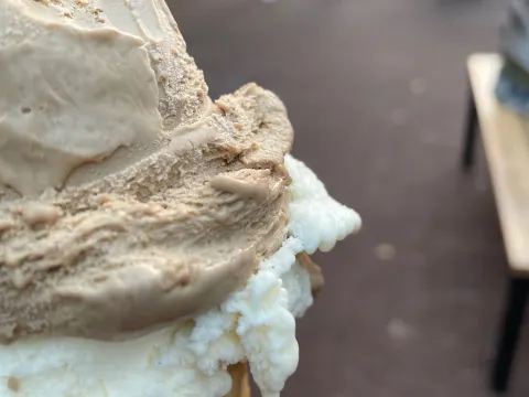 Foto 4 van De Babbelaar