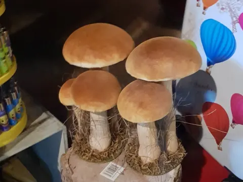 Holy Cheese