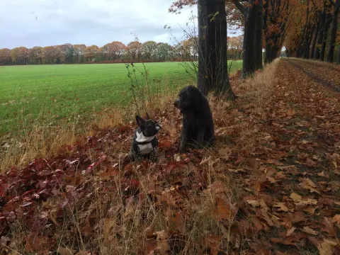 MEC en Brasserie T-Huis