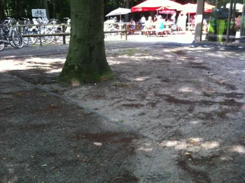 Foto 3 van MEC en Brasserie T-Huis