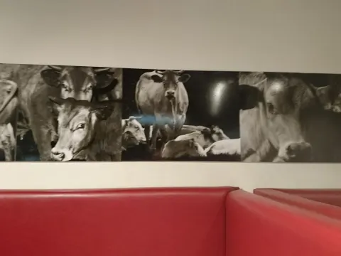 Burgermeester