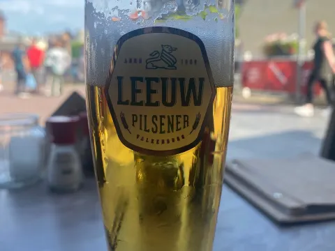 Leeuw aan de Brug