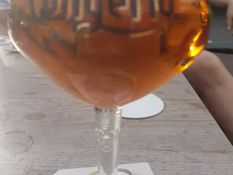 Leeuw aan de Brug