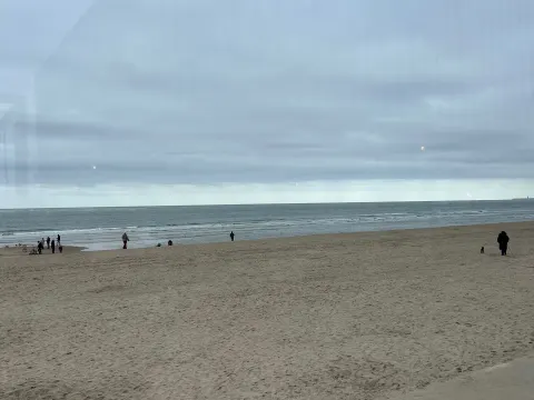 Haven Van Renesse
