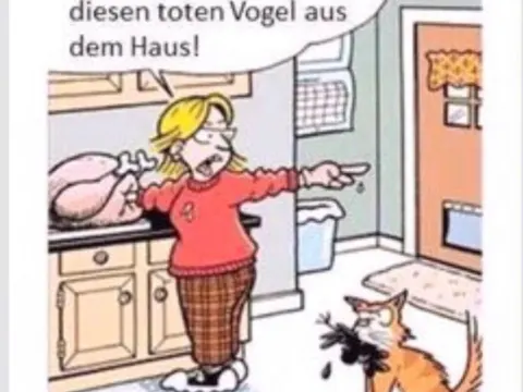 Kippie Grill & Maaltijden