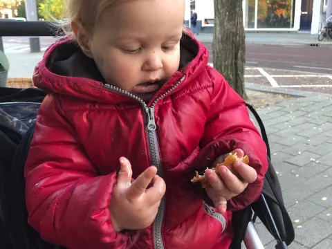 Bij Bos