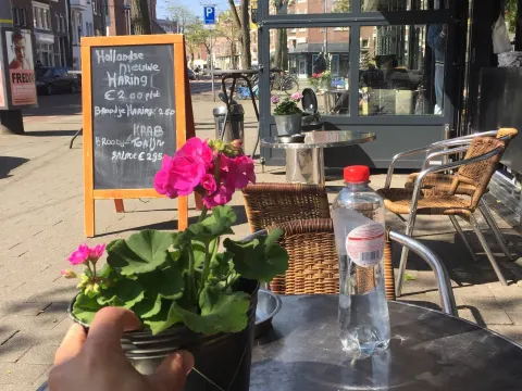 Bij Bos