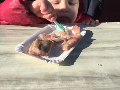 Bij Bos