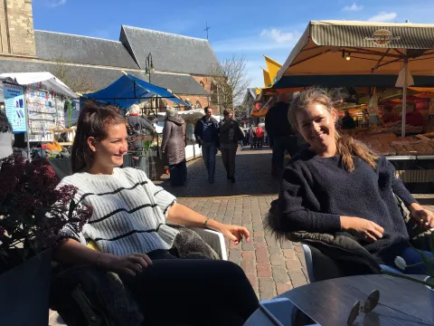 De Zwaan