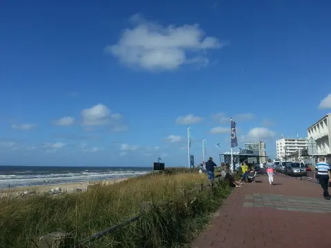 Kroon Vis