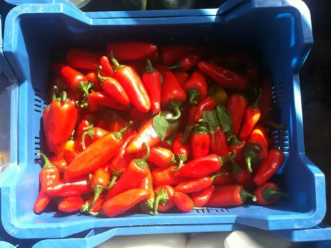 Foto 2 van De Buurtwinkel