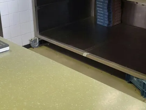 Domino's Pizza Zwolle Bachplein