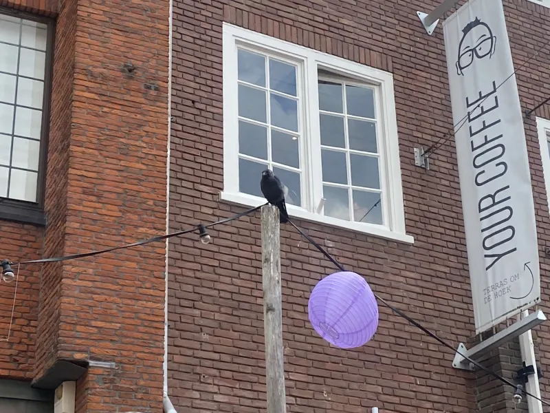 Foto 1 van De Smidse
