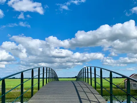 Foto 5 van IJsboerderij De jong