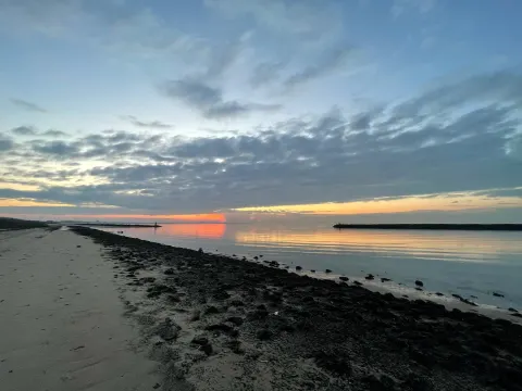 Foto 4 van Dickenz aan het strand