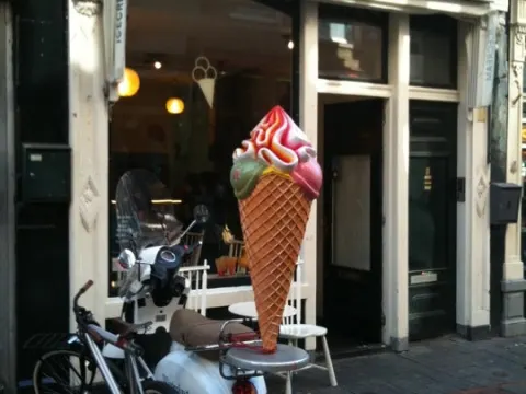 Foto 2 van Zomerijs