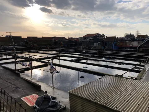 Foto 2 van Oesterput 14
