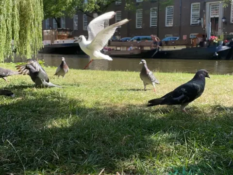 Foto 5 van De Pizzabakkers