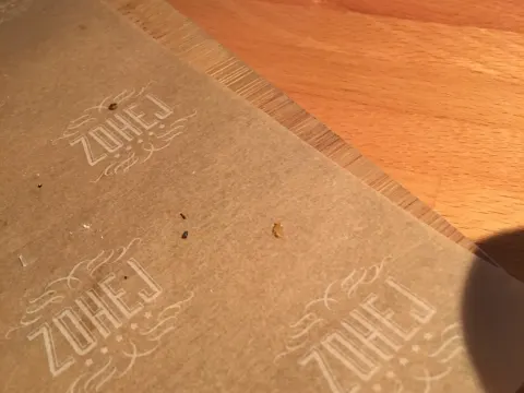 ZOHEJ