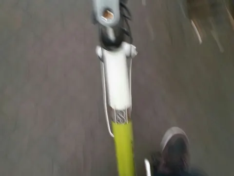 Rozenoord