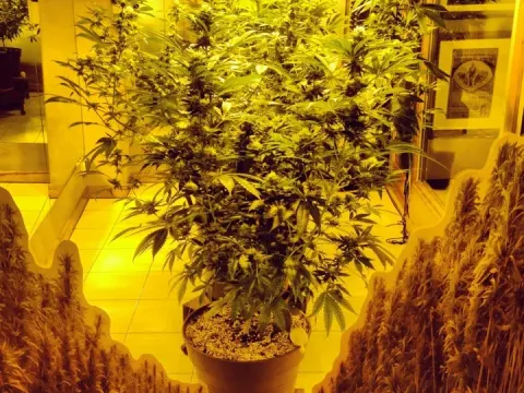 Foto 3 van Unlimited Health