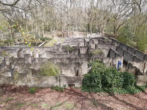 Bospaviljoen De Dwaler & Doolhofpark