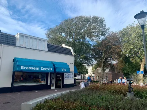 Brassem vishandel