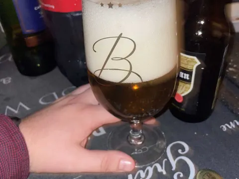 De Vogelmolen