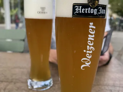 Panorama