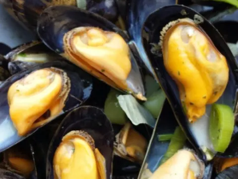 Poissonnerie de Renesse