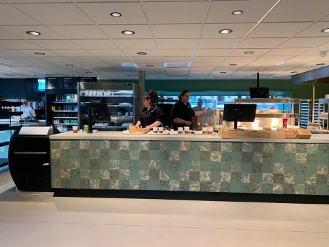 De Twee Cheetahs
