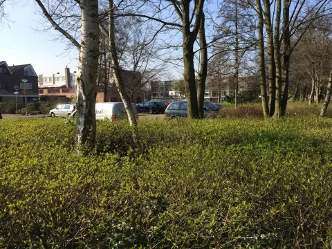Foto 4 van Chinees-Kantonees Specialiteitenrestaurant Het Oosten