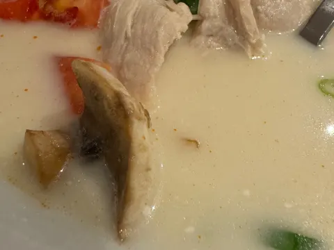 Curry & Cocos