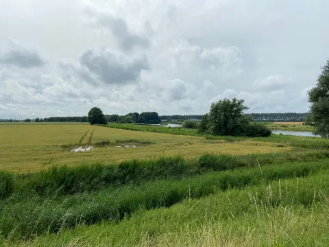 De Baeckermat