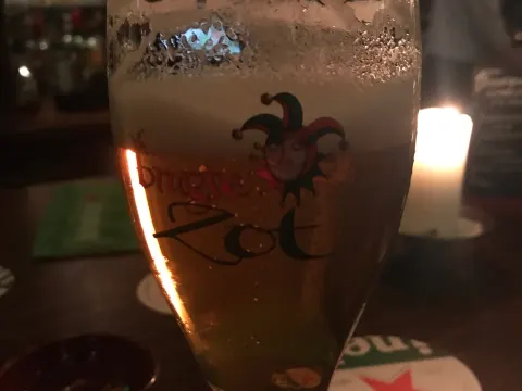 De Witte Leeuw