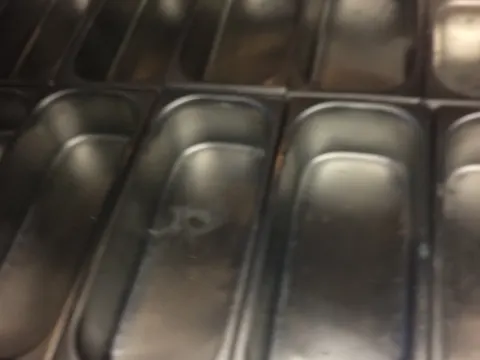 Ice and Bites