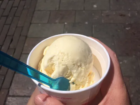 Ice and Bites