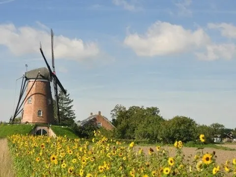 Foto 4 van Restaurant Pizzeria L'angolo