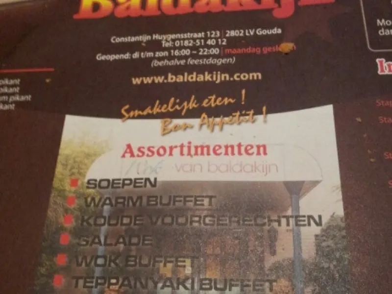 Foto 1 van De Wok van Baldakijn