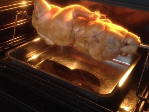 KC''s Famous Grilled Chicken
