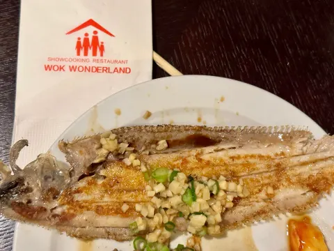Wok Wonderland