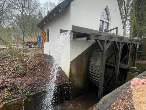 Herberg Molecaten
